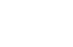 Logo-Bølgen-White_01