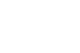 Logo-VB-White_01