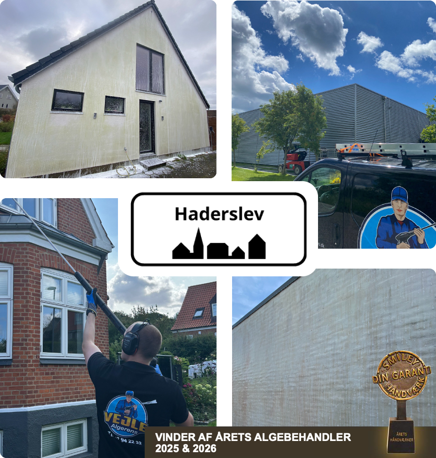 Collage med facaderens og medarbejdere fra Vejle Algerens