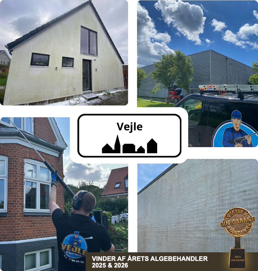 Collage med facaderens og medarbejdere fra Vejle Algerens