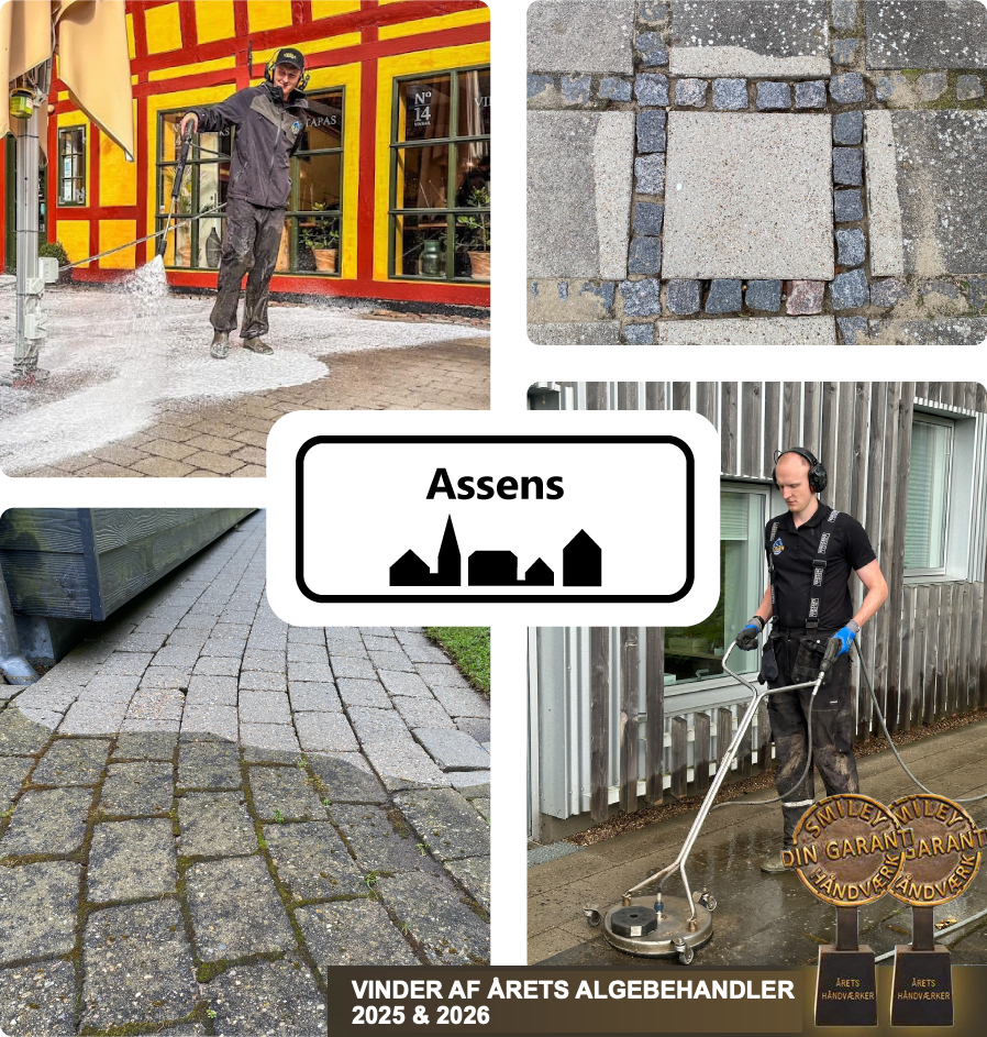 Collage med fliserens, rensede fliser og medarbejdere fra Vejle Algerens