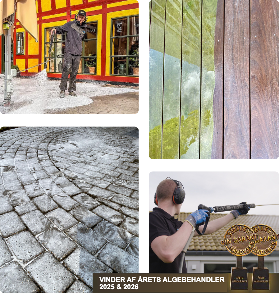 Collage med Vejle Algerens' rensearbejde og priser som Årets Algebehandler 2025 og 2026