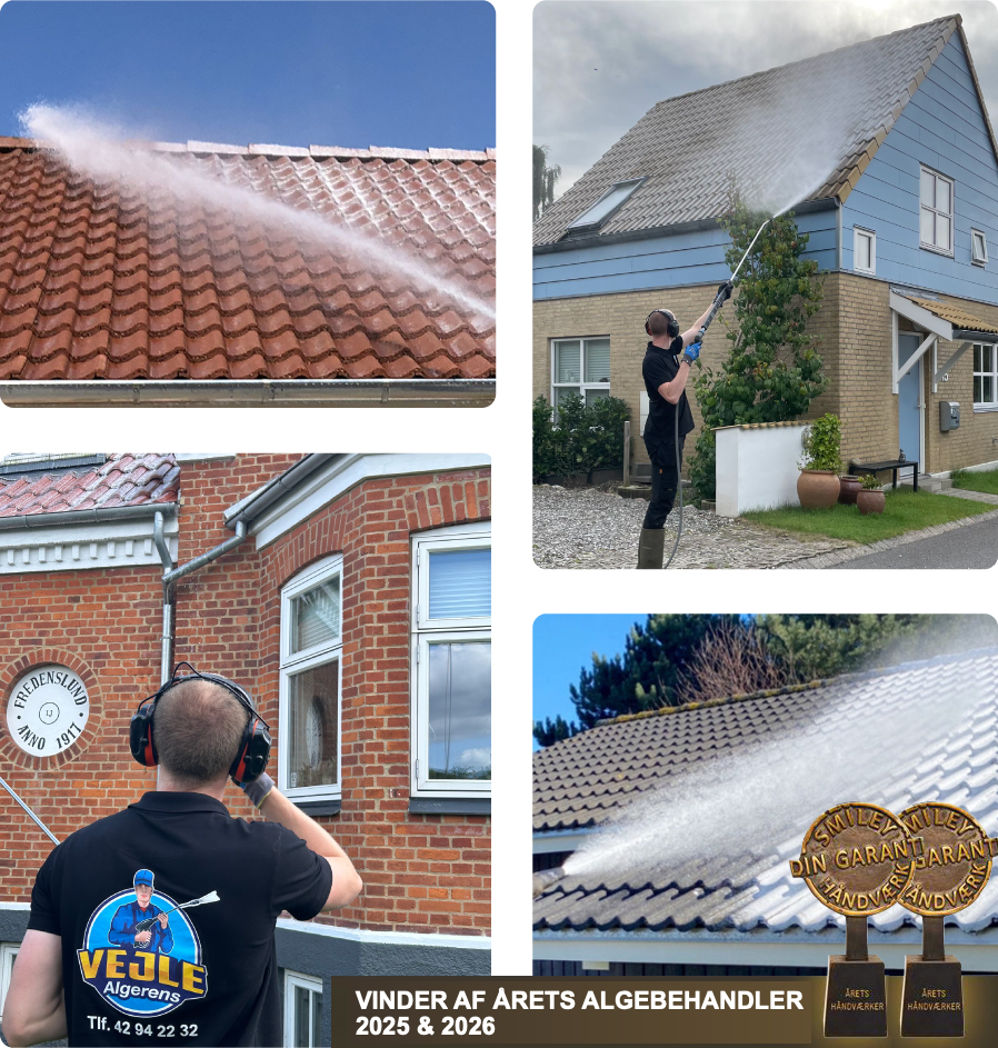 Collage med rensning og algebehandling af tage hos Vejle Algerens