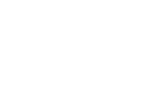 Logo-Vejle-White_01
