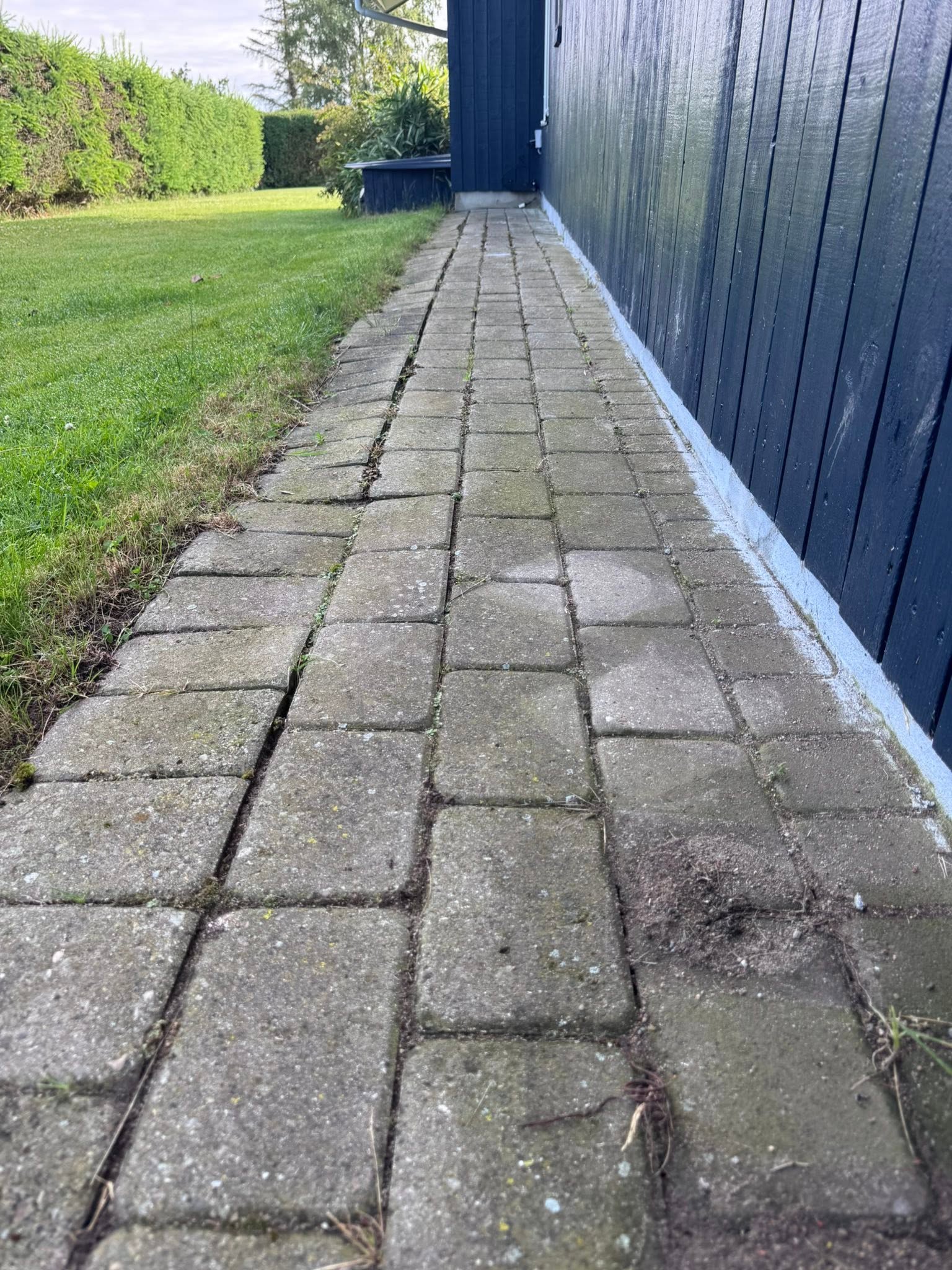 Betonfliser langs huset før professionel fliserens i Haderslev, 2025